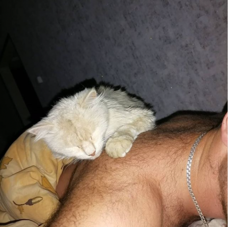 Rab Paniki i podliza