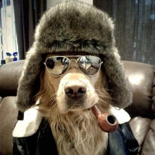 Жора Медведев