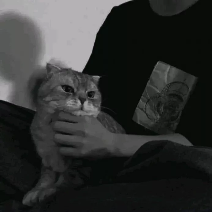 Kitsune17