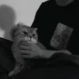 Kitsune17