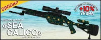 Sea Calico